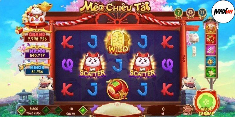 Mèo Chiêu Tài Max88